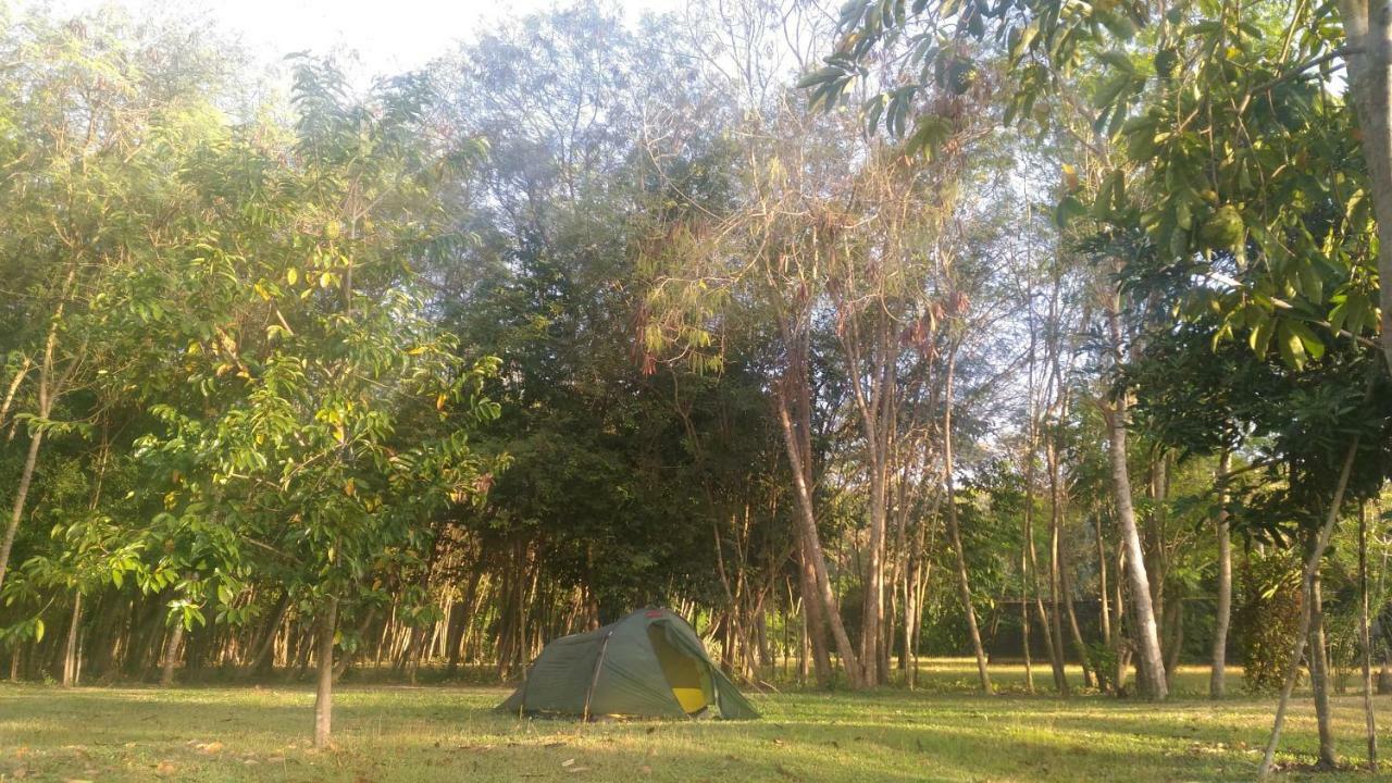 4 Pohon - Les 4 Arbres Bed and Breakfast Pandang Buitenkant foto